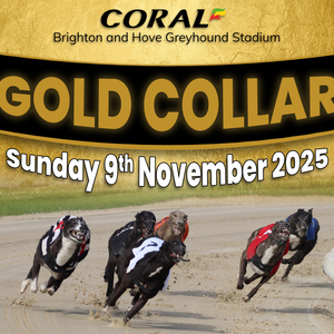 Brighton & Hove Brighton Hove Race Tickets Sunday 9th November 2025