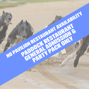 Romford Romford Race Tickets Saturday Evening 22nd November 2025