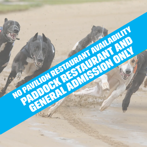 Romford Romford Race Tickets Saturday Evening 8th November 2025