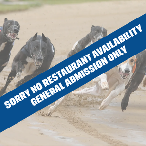 Romford Romford Race Tickets Afternoon Lunch Tuesday 28th October 2025