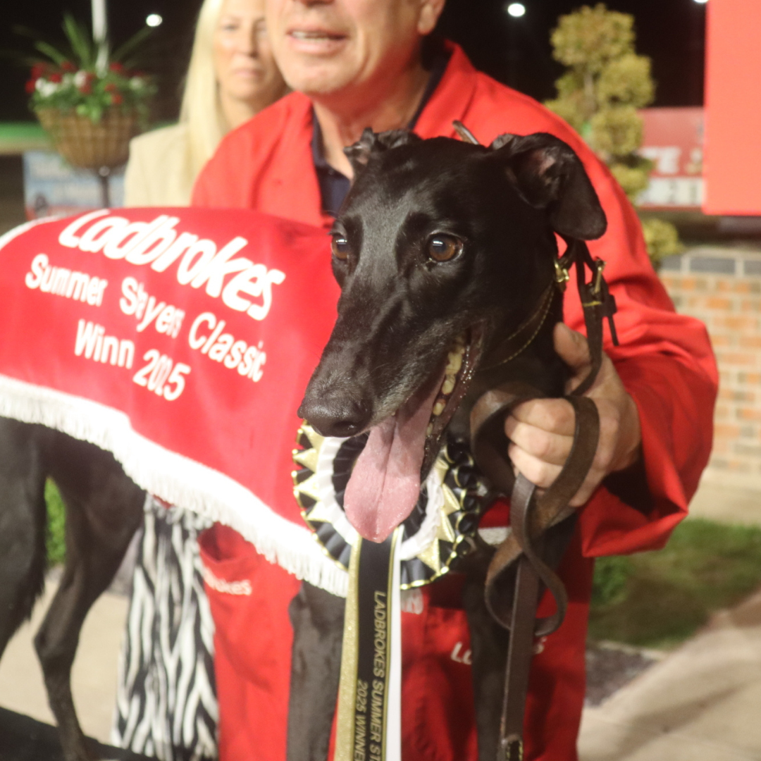 2025 Ladbrokes Summer Stayers Classic Champion - Vhagar